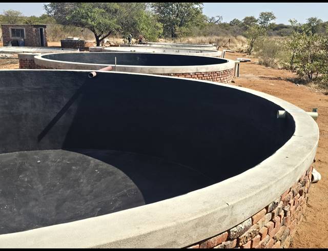 21HA FARM FOR SALE IN MOPANE